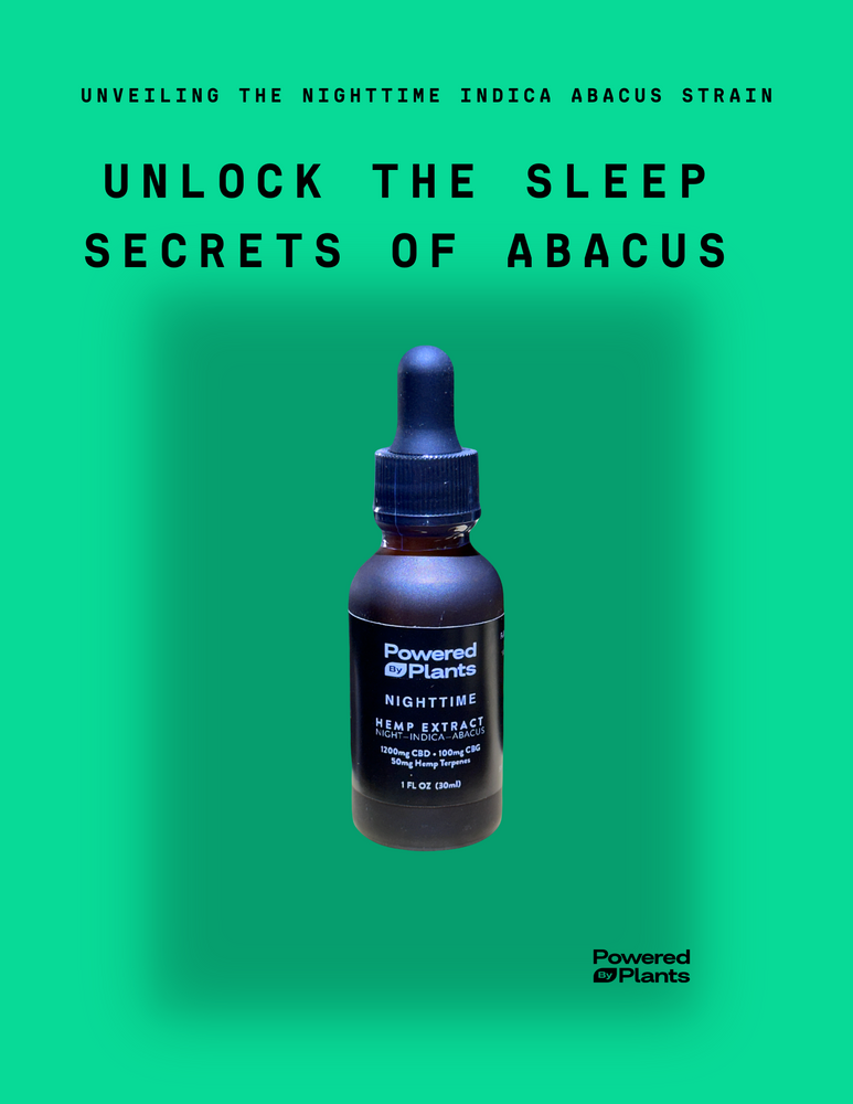 Unlock the Sleep Secrets of Abacus